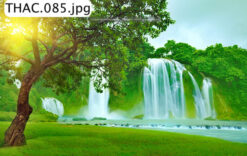 TRANH THÁC NƯỚC