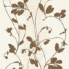 giấy dán tường châu âu 5740-14