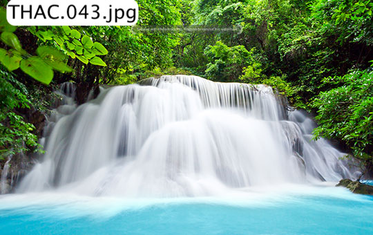 59 TRANH THÁC NƯỚC