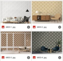 GIẤY DÁN TƯỜNG VIỆT NAM ALBANY 6803-1, 6803-2, 6803-3, 6803-4