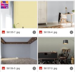 giấy dán tường soho 56135-7, 56136-4, 56136-5, 56137-3