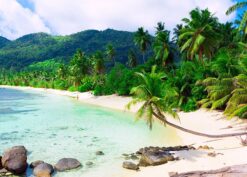 tranh dán tường bãi biển 08
